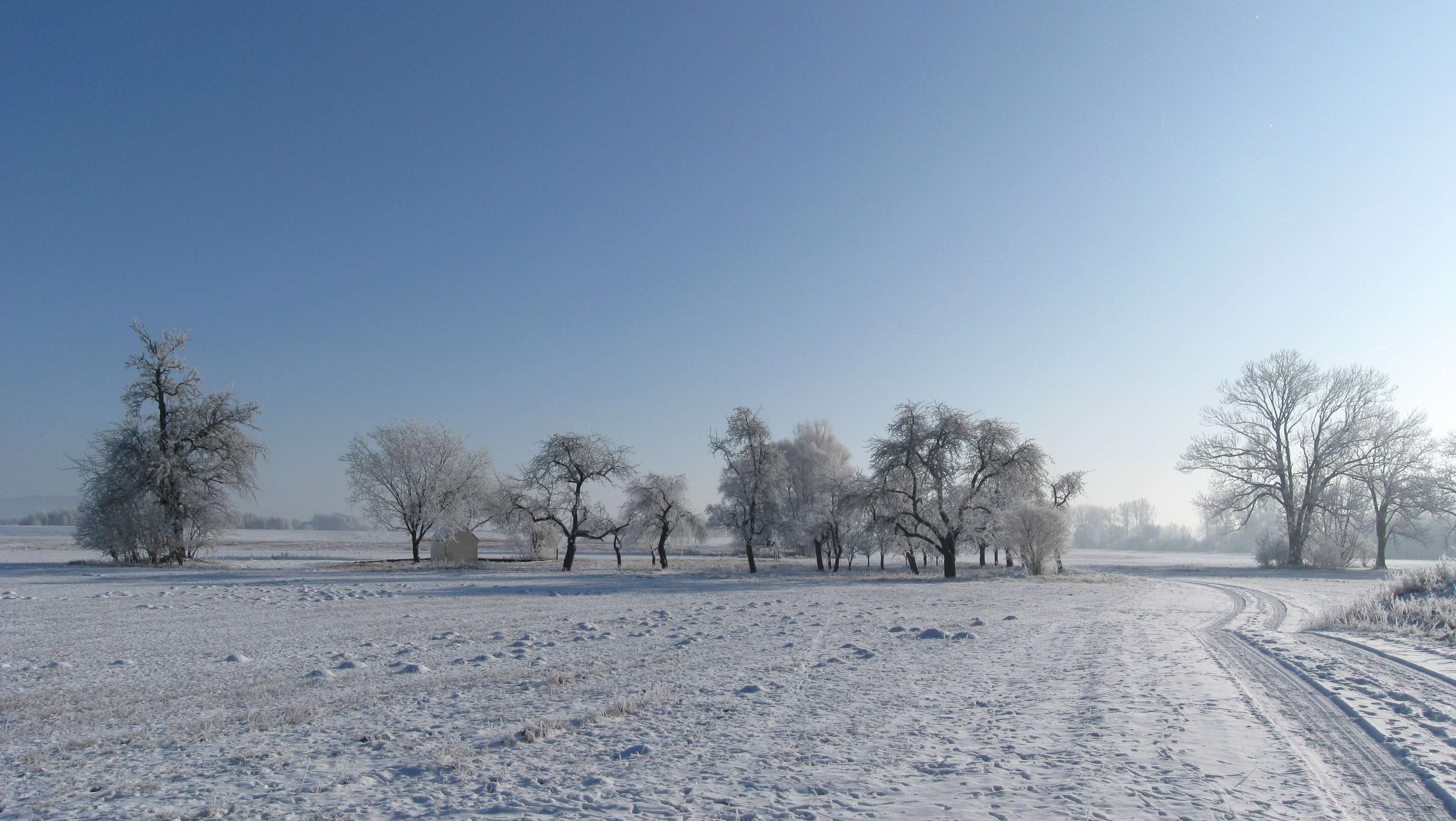 ein herrlicher kalter Wintertag, der Raureif läßt die Bäume erstrahlen